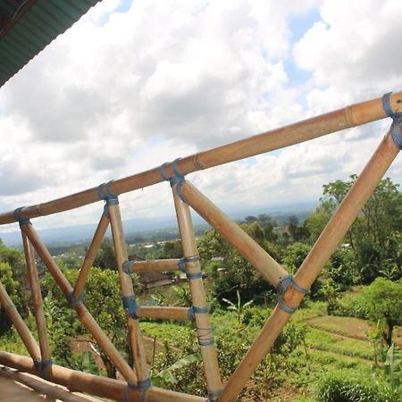 Apartament Bali Tree House Pelangi Bedugul  Zewnętrze zdjęcie