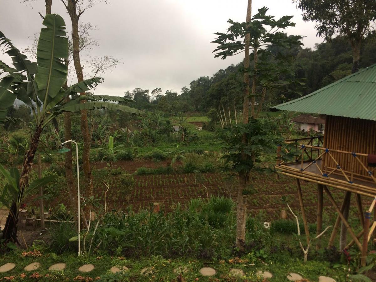 Apartament Bali Tree House Pelangi Bedugul  Zewnętrze zdjęcie