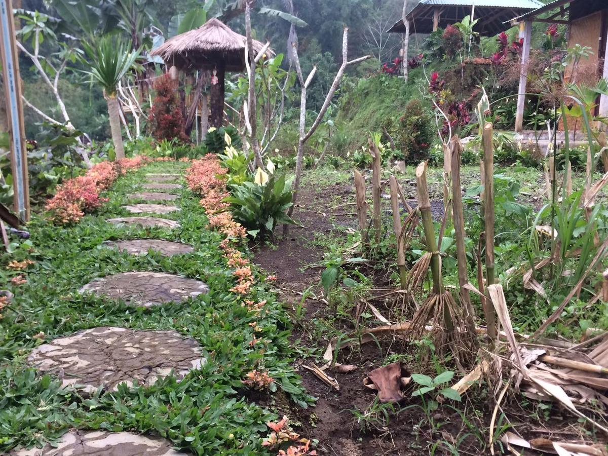 Apartament Bali Tree House Pelangi Bedugul  Zewnętrze zdjęcie