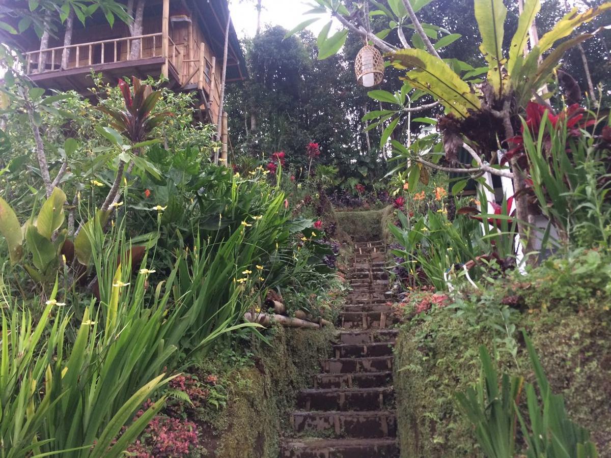 Apartament Bali Tree House Pelangi Bedugul  Zewnętrze zdjęcie