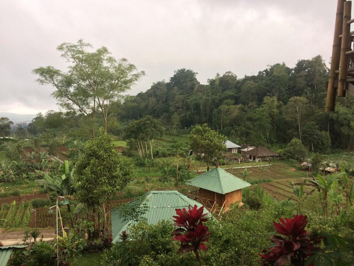 Apartament Bali Tree House Pelangi Bedugul  Zewnętrze zdjęcie
