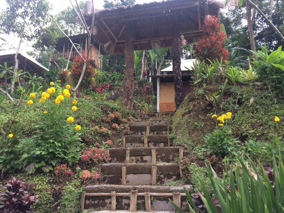 Apartament Bali Tree House Pelangi Bedugul  Zewnętrze zdjęcie