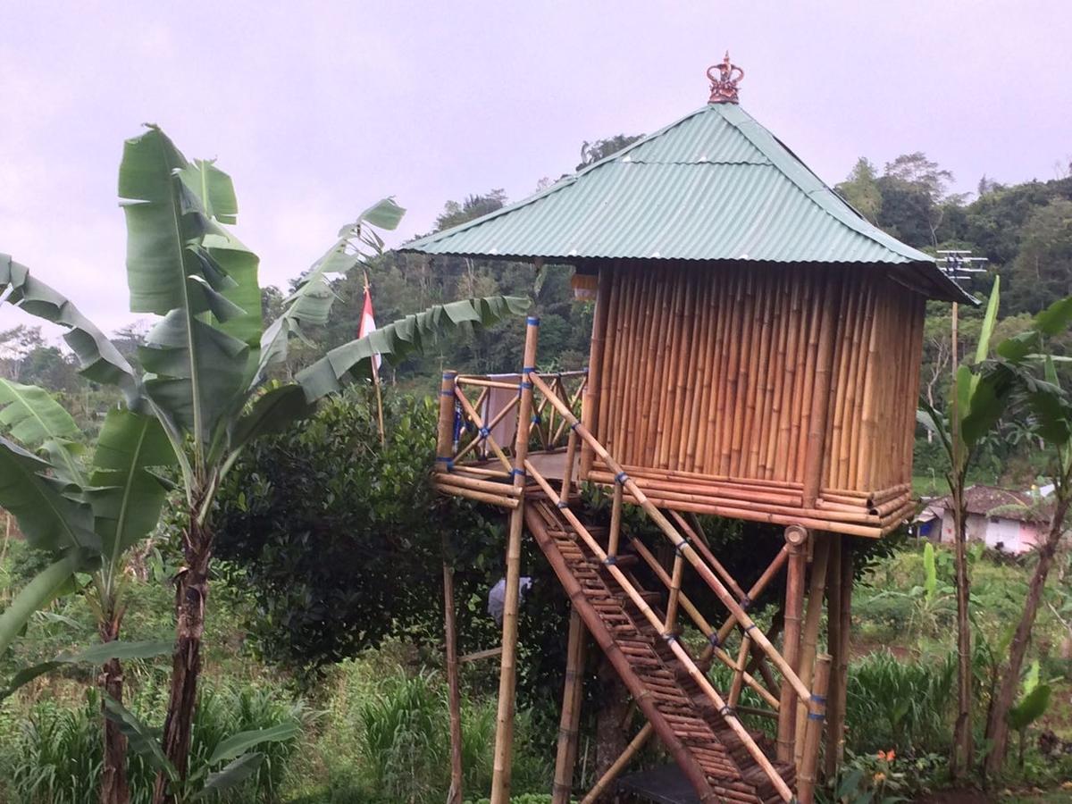 Apartament Bali Tree House Pelangi Bedugul  Zewnętrze zdjęcie