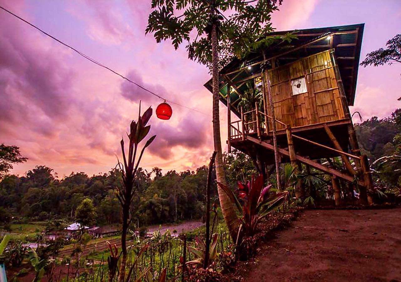 Apartament Bali Tree House Pelangi Bedugul  Zewnętrze zdjęcie