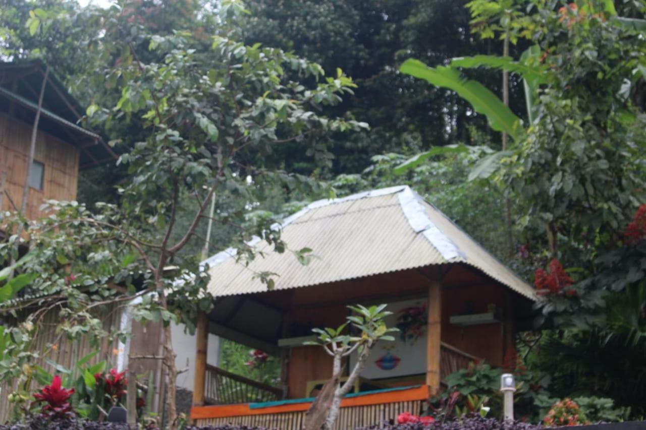 Apartament Bali Tree House Pelangi Bedugul  Zewnętrze zdjęcie
