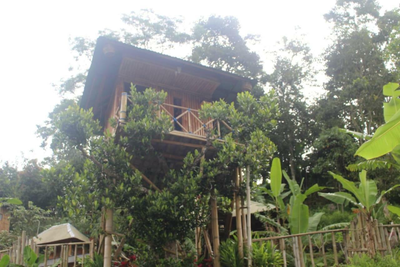 Apartament Bali Tree House Pelangi Bedugul  Zewnętrze zdjęcie
