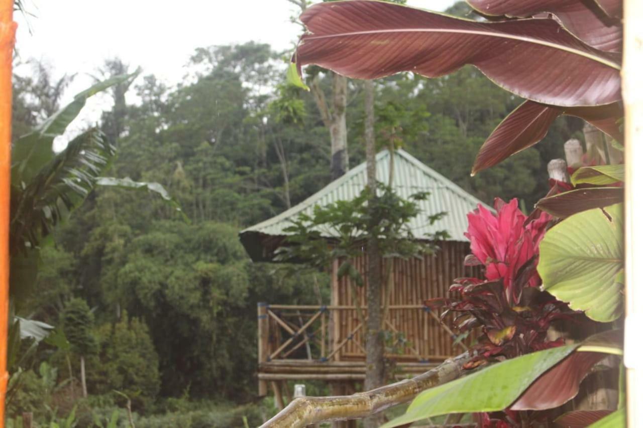 Apartament Bali Tree House Pelangi Bedugul  Zewnętrze zdjęcie