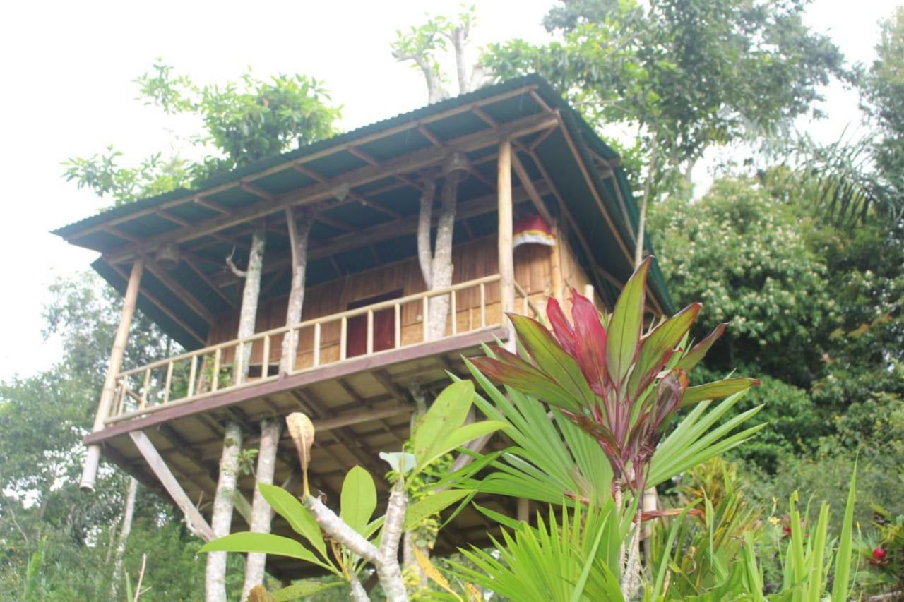 Apartament Bali Tree House Pelangi Bedugul  Zewnętrze zdjęcie