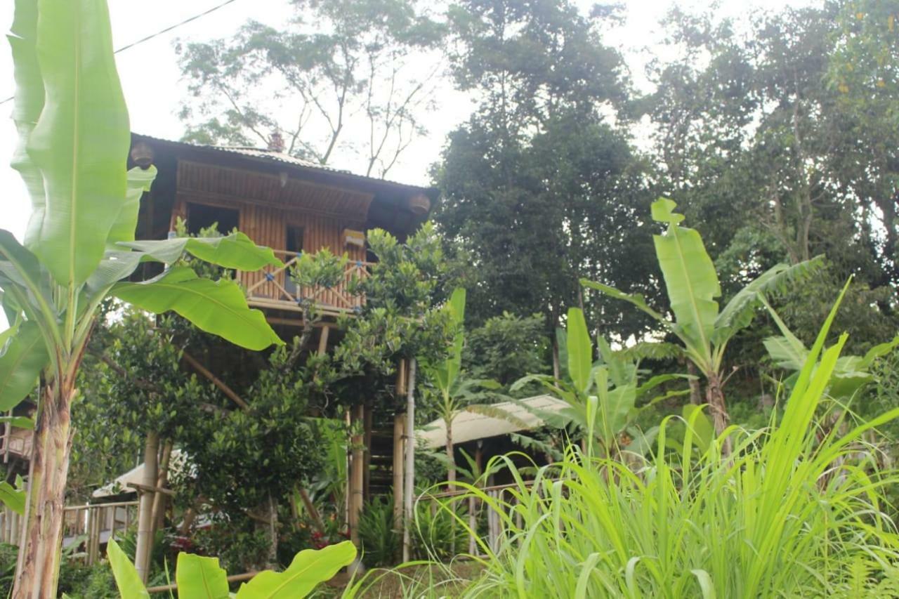 Apartament Bali Tree House Pelangi Bedugul  Zewnętrze zdjęcie