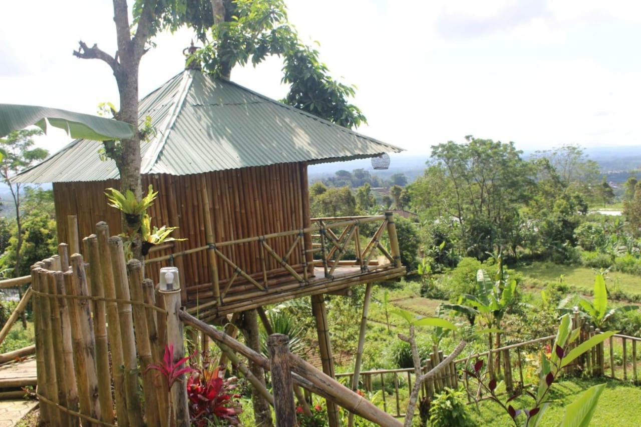 Apartament Bali Tree House Pelangi Bedugul  Zewnętrze zdjęcie