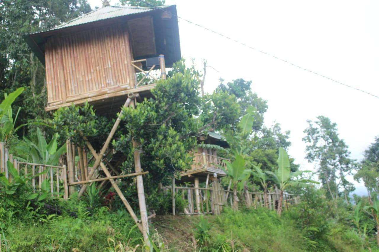 Apartament Bali Tree House Pelangi Bedugul  Zewnętrze zdjęcie