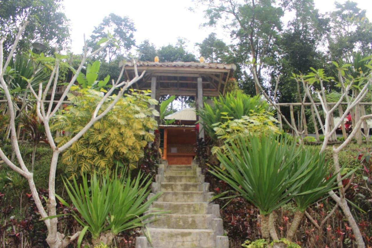 Apartament Bali Tree House Pelangi Bedugul  Zewnętrze zdjęcie