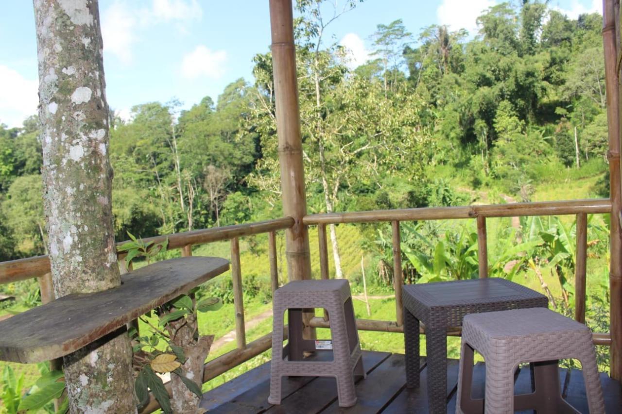 Apartament Bali Tree House Pelangi Bedugul  Zewnętrze zdjęcie