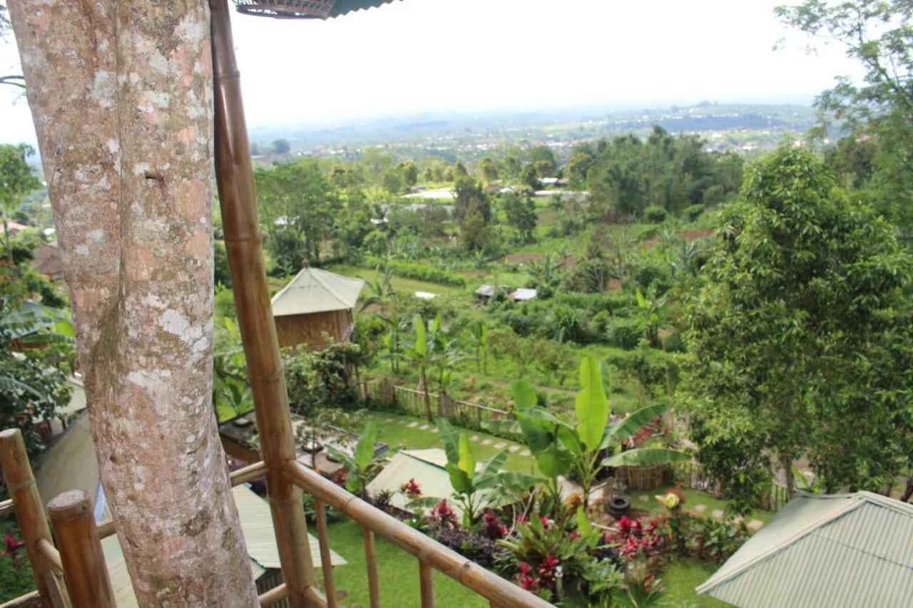 Apartament Bali Tree House Pelangi Bedugul  Zewnętrze zdjęcie