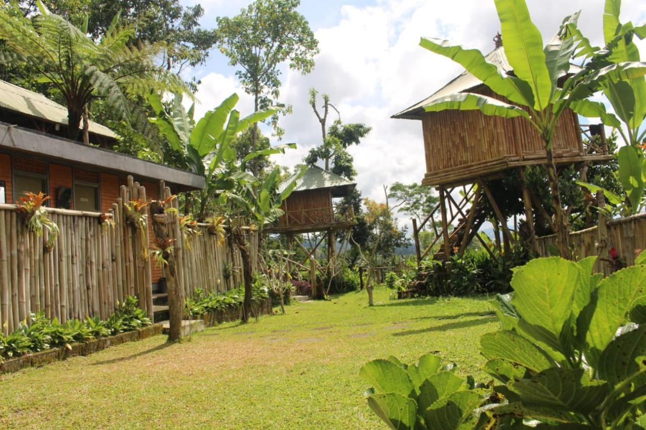 Apartament Bali Tree House Pelangi Bedugul  Zewnętrze zdjęcie