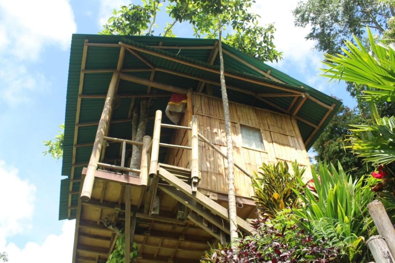 Apartament Bali Tree House Pelangi Bedugul  Zewnętrze zdjęcie