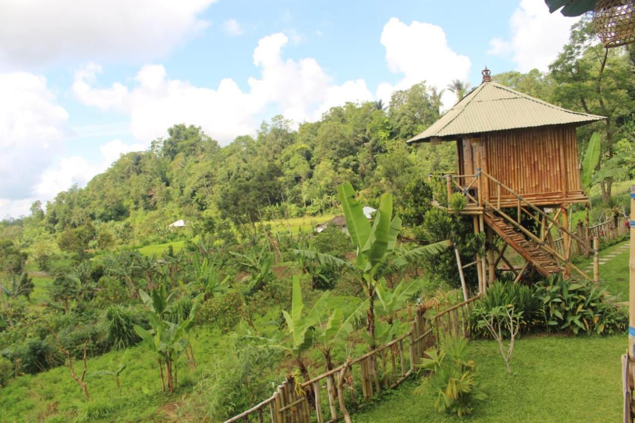 Apartament Bali Tree House Pelangi Bedugul  Zewnętrze zdjęcie