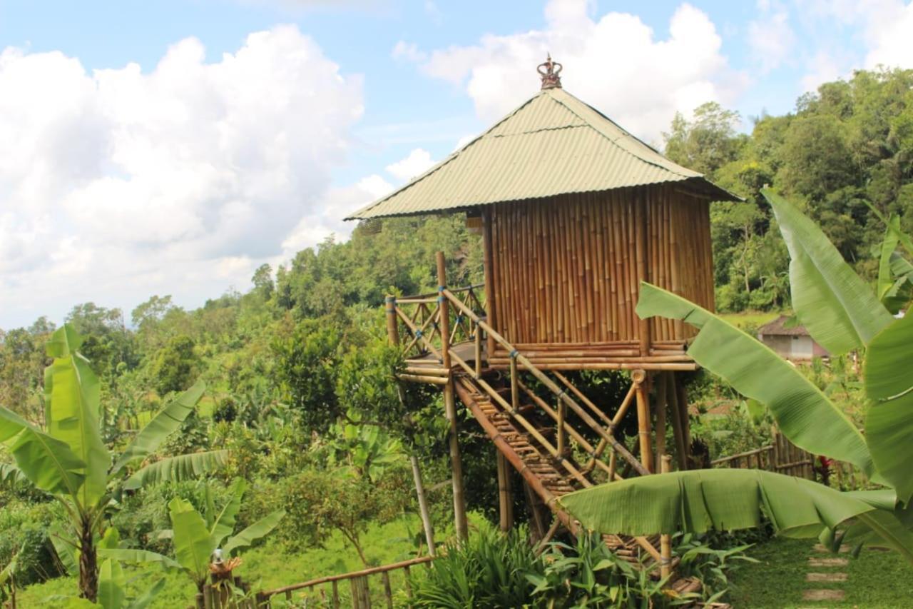 Apartament Bali Tree House Pelangi Bedugul  Zewnętrze zdjęcie