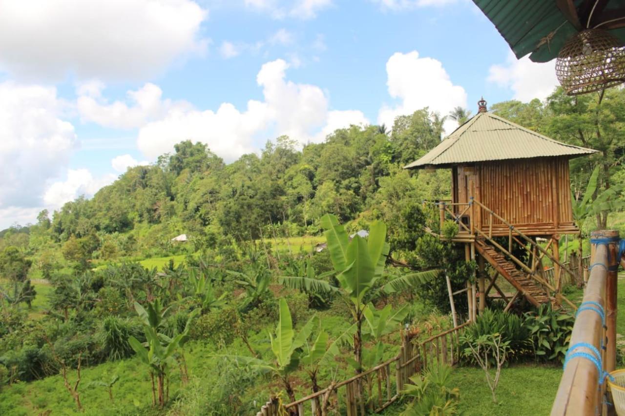 Apartament Bali Tree House Pelangi Bedugul  Zewnętrze zdjęcie