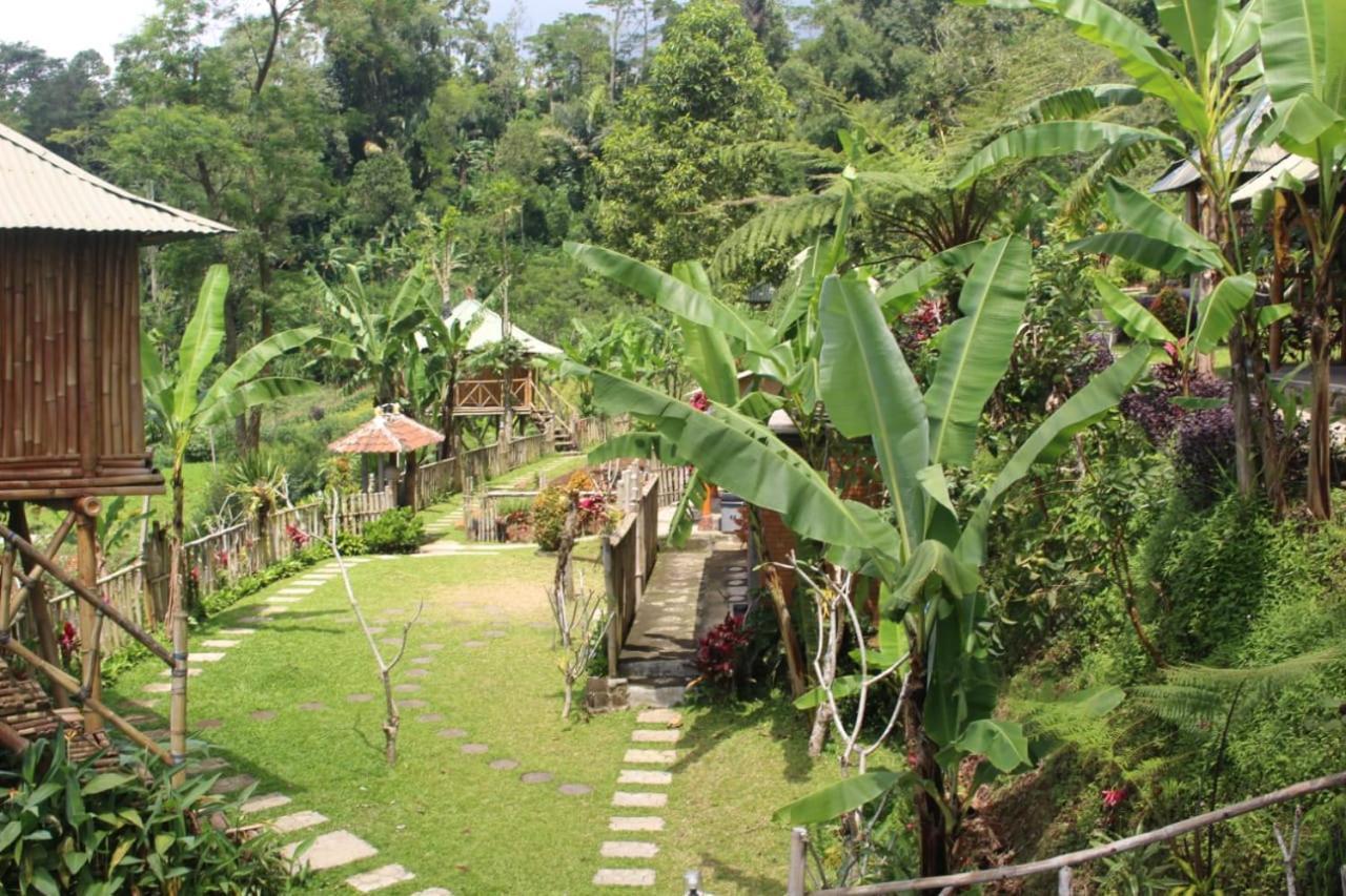 Apartament Bali Tree House Pelangi Bedugul  Zewnętrze zdjęcie
